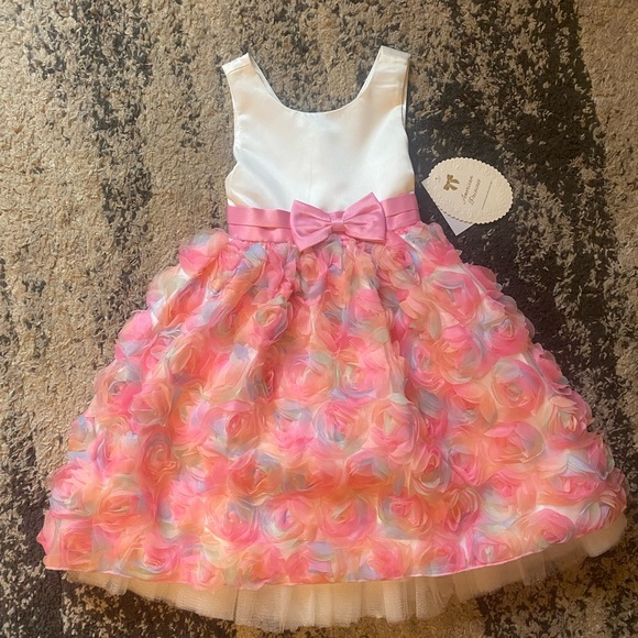 American Princess Other - American Princess Multicolor Rosette Kids Dress